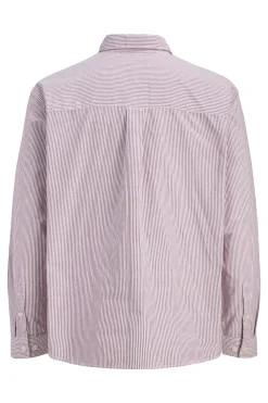 Camisa Oxford estampada manga larga