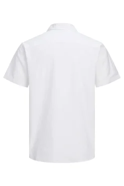 Camisa oxford regular fit