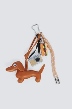 Charm perro salchicha marrón
