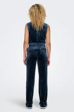 Pantal&oacute;n recto de terciopelo