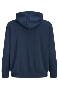 Sudadera capucha algod&oacute;n