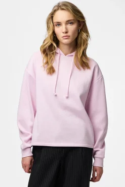 Sudadera capucha básica