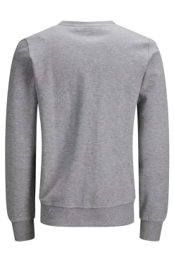 Sudadera lisa algod&oacute;n