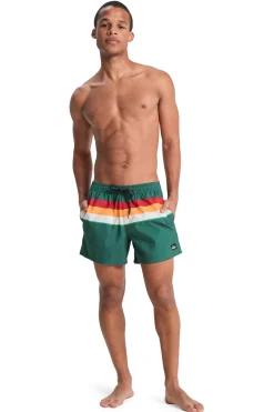 Traje de baño logo